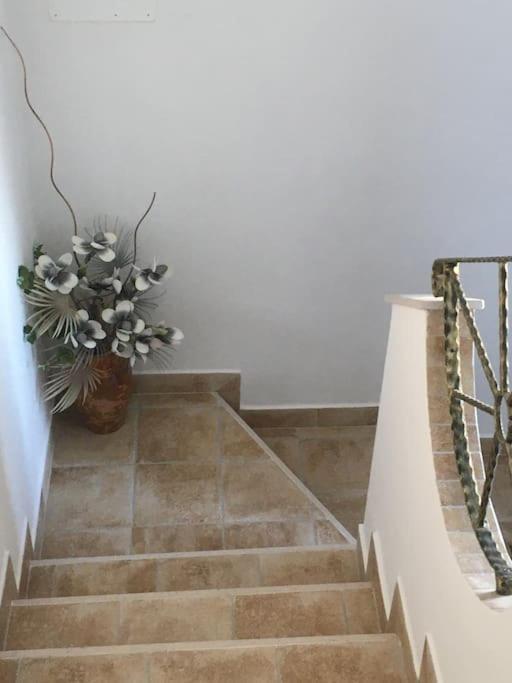 Casa Vacanza Gargano Carpino Esterno foto